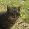 Egor