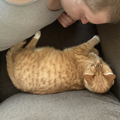 here for lana unreleased