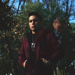 Alxx Vt