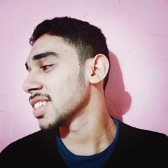 ask developer