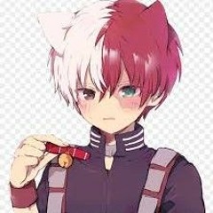 neko shoto todoroki 🔥❄❤