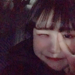 허수인