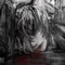 advor