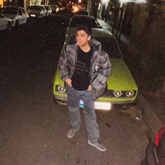 saamiX