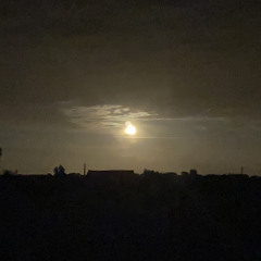 sennemoonen