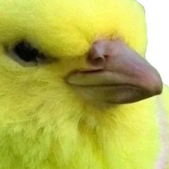 Sir.