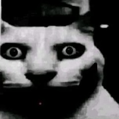 cleo