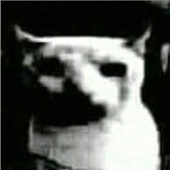 DARK PHONK