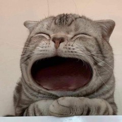 Trần Đức Hùng