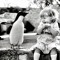 laila mored