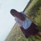 wwiiiqnsk