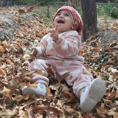 Mohamad Nikpor