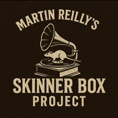 Martin Reilly's Skinner Box Project