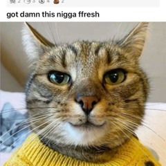 GooberzSnoobertz