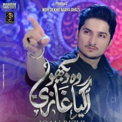 سید کبیر علی رضوی