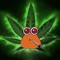 666mizantrop_pizdoloz999