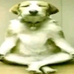 потужнолятор