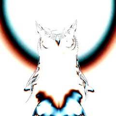v!rgo
