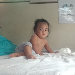 Asalelejr8981