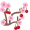 THECHERRYISHERE