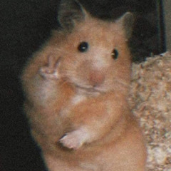 Vũ Trần Thanh Tâm