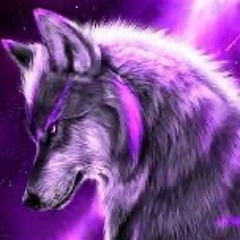 Tell em wassup, Tell em it's on