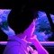 || S h I n j I ||