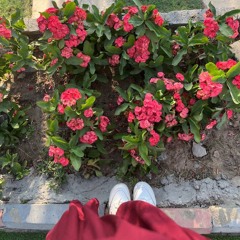 إيمان مصطفى