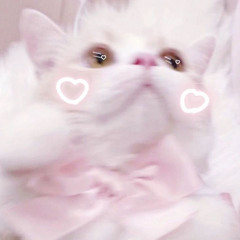 ︎︎︎︎❤︎