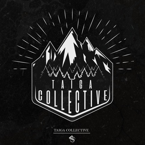 Taiga Collective’s avatar