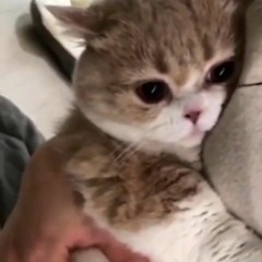 ⁱʷᵃˢʰᵃᵖᵖʸ