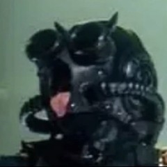 pipidastr