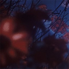 crystalveil