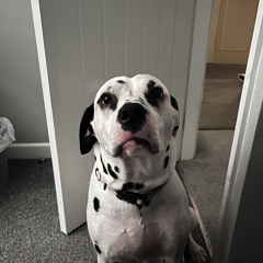Ben