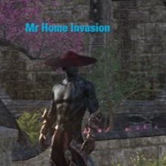 mr.homeinvasion