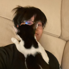 diesaniii