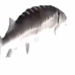 computertool