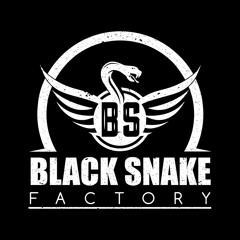 Black Snake Factory