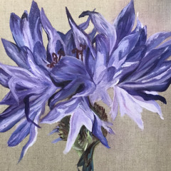 Perth Mindfulness Meditation Group