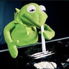 Kermit The Frog