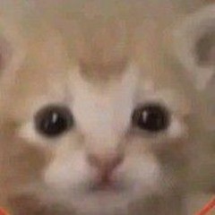 🍡 (⁠ㆁ⁠ω⁠ㆁ⁠)