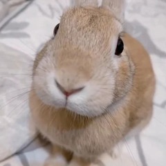 frankiie6