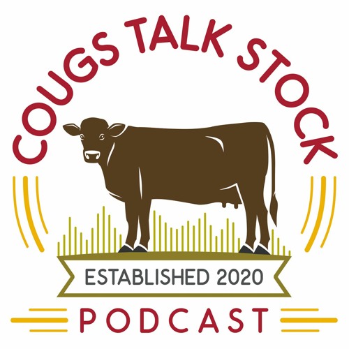Cougs Talk Stock’s avatar
