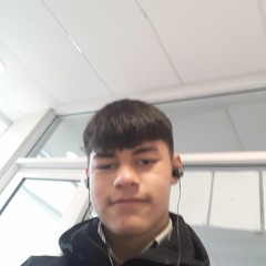 Lemmer
