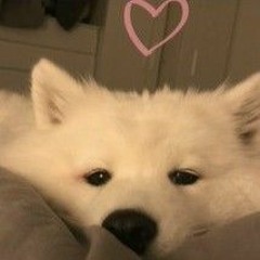 b.