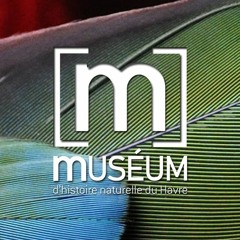 Muséum du Havre