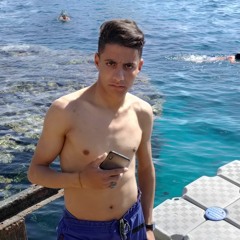 Waleed Naeim Hana