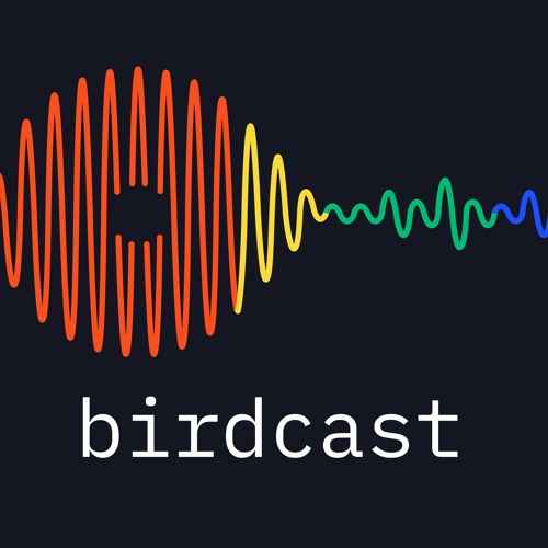 Birdcast - Podcast for B2B SaaS teams’s avatar