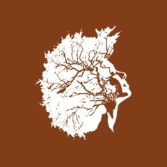 EcoWomanist Institute