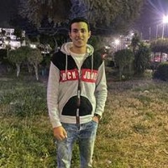 Amr Elsheshtawy